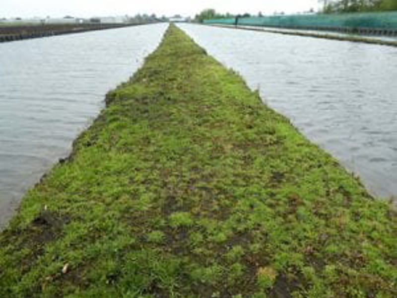 Visie op water greenport