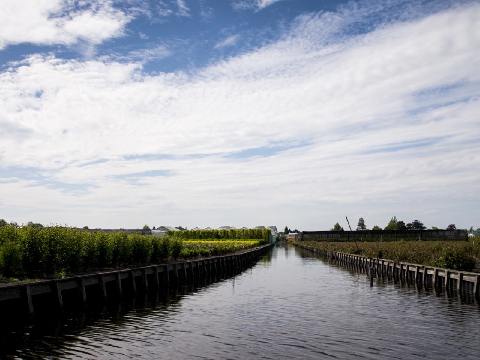 Let op met gebruik van bodemherbiciden greenport